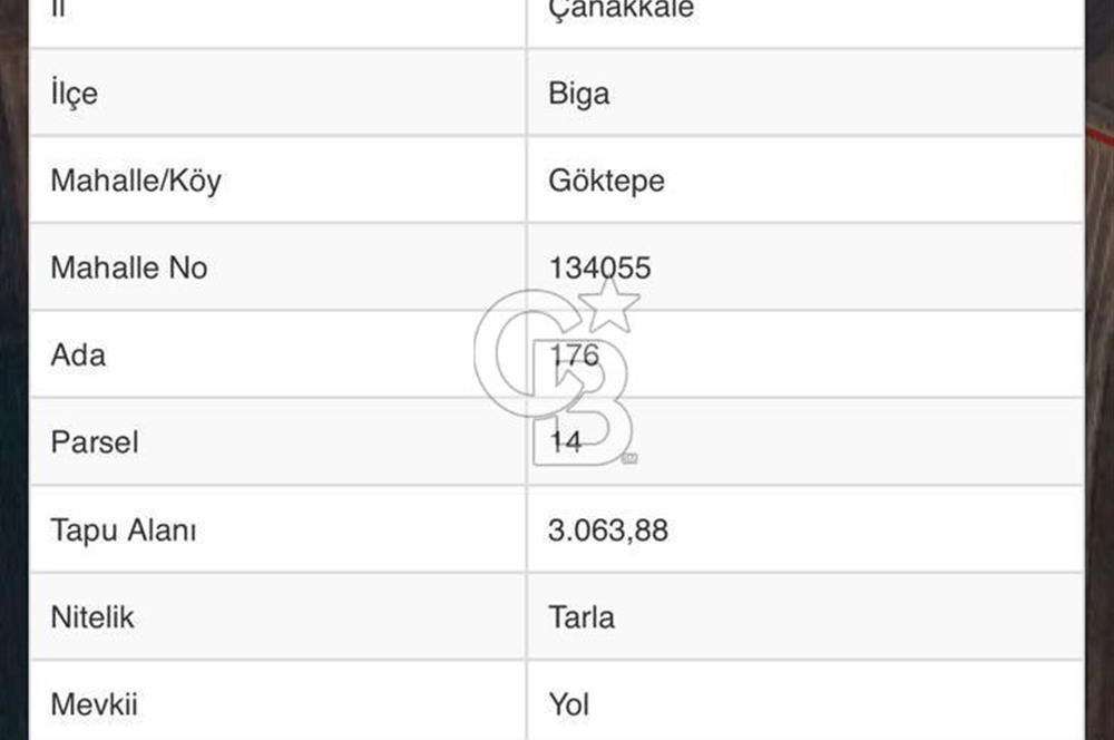 ÇANAKKALE BİGA GÖKTEPE KÖYÜNDE SATILIK 3063 M2 TARLA