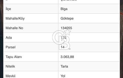 ÇANAKKALE BİGA GÖKTEPE KÖYÜNDE SATILIK 3063 M2 TARLA