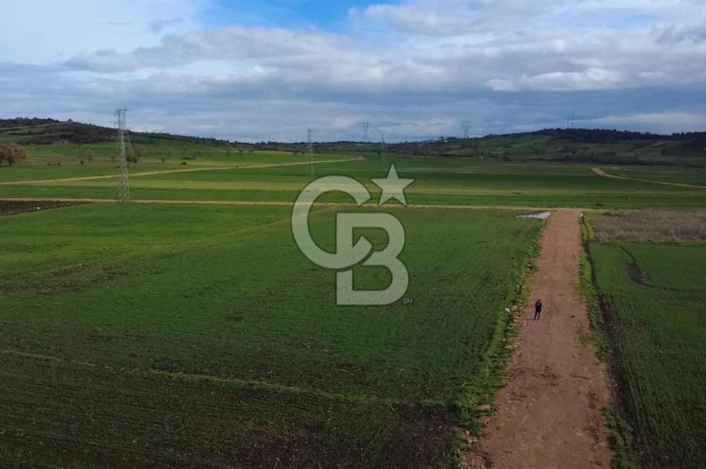 ÇANAKKALE BİGA GÖKTEPE KÖYÜNDE SATILIK 3063 M2 TARLA