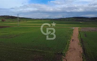 ÇANAKKALE BİGA GÖKTEPE KÖYÜNDE SATILIK 3063 M2 TARLA
