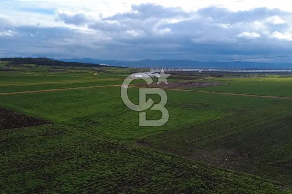 ÇANAKKALE BİGA GÖKTEPE KÖYÜNDE SATILIK 3063 M2 TARLA