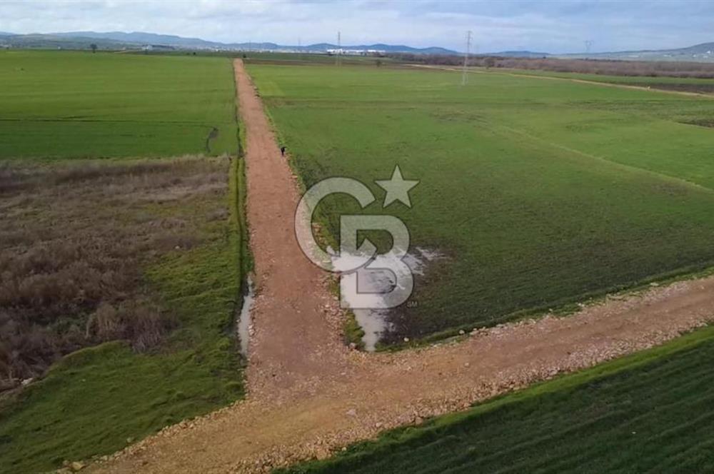 ÇANAKKALE BİGA GÖKTEPE KÖYÜNDE SATILIK 3063 M2 TARLA