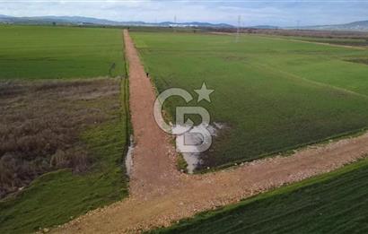 ÇANAKKALE BİGA GÖKTEPE KÖYÜNDE SATILIK 3063 M2 TARLA