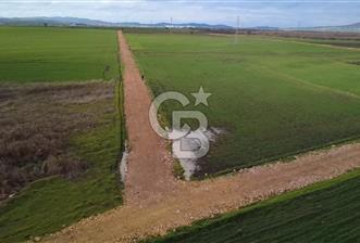 ÇANAKKALE BİGA GÖKTEPE KÖYÜNDE SATILIK 3063 M2 TARLA - 10 - 346206