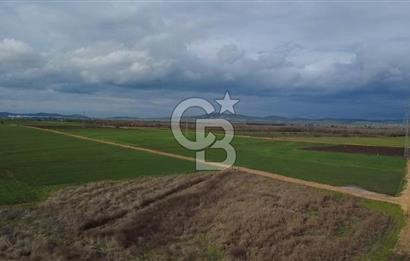 ÇANAKKALE BİGA GÖKTEPE KÖYÜNDE SATILIK 3063 M2 TARLA