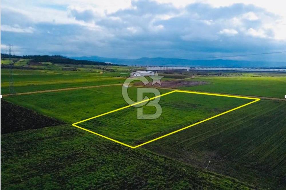 ÇANAKKALE BİGA GÖKTEPE KÖYÜNDE SATILIK 3063 M2 TARLA