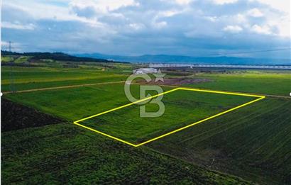 ÇANAKKALE BİGA GÖKTEPE KÖYÜNDE SATILIK 3063 M2 TARLA