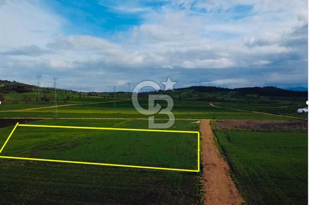 ÇANAKKALE BİGA GÖKTEPE KÖYÜNDE SATILIK 3063 M2 TARLA