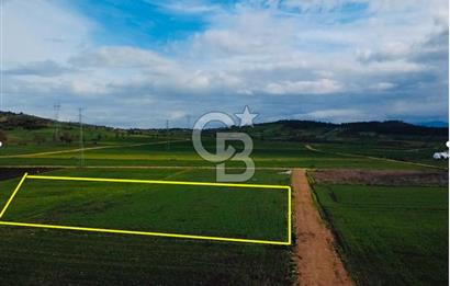 ÇANAKKALE BİGA GÖKTEPE KÖYÜNDE SATILIK 3063 M2 TARLA