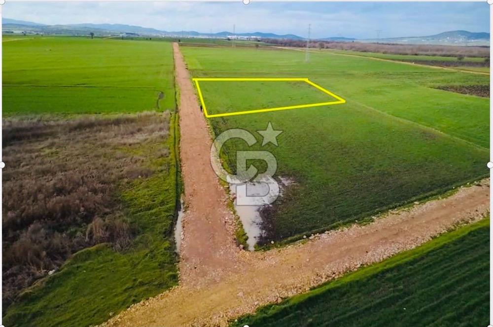 ÇANAKKALE BİGA GÖKTEPE KÖYÜNDE SATILIK 3063 M2 TARLA