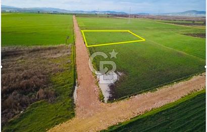 ÇANAKKALE BİGA GÖKTEPE KÖYÜNDE SATILIK 3063 M2 TARLA