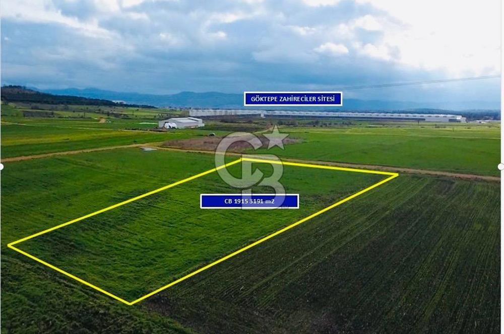 ÇANAKKALE BİGA GÖKTEPE KÖYÜNDE SATILIK 3063 M2 TARLA