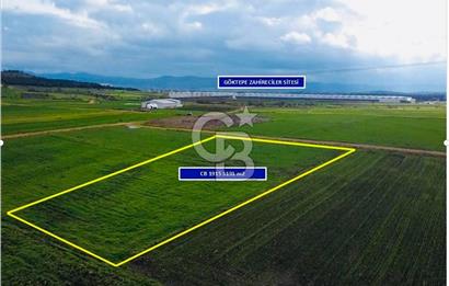 ÇANAKKALE BİGA GÖKTEPE KÖYÜNDE SATILIK 3063 M2 TARLA