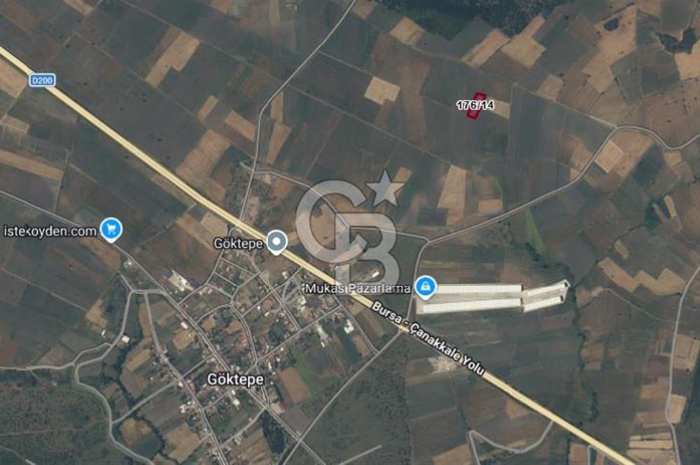 ÇANAKKALE BİGA GÖKTEPE KÖYÜNDE SATILIK 3063 M2 TARLA