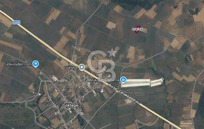 ÇANAKKALE BİGA GÖKTEPE KÖYÜNDE SATILIK 3063 M2 TARLA