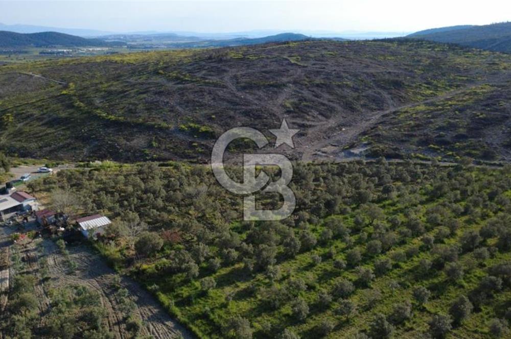 ALİAĞA BOZKÖY'DE SATILIK 4,397 M2 TARLA