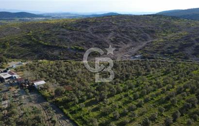 ALİAĞA BOZKÖY'DE SATILIK 4,397 M2 TARLA