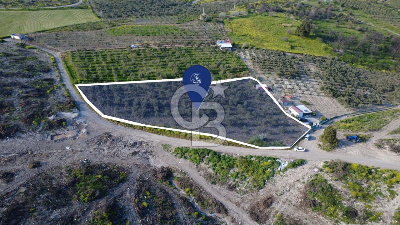 ALİAĞA BOZKÖY'DE SATILIK 4,397 M2 TARLA