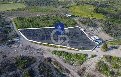 ALİAĞA BOZKÖY'DE SATILIK 4,397 M2 TARLA