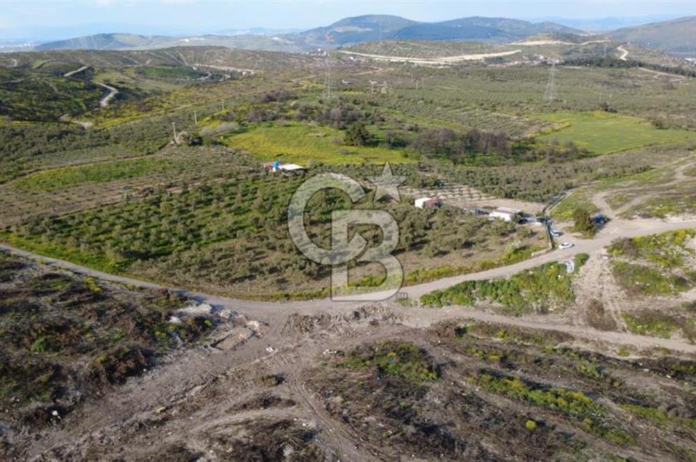 ALİAĞA BOZKÖY'DE SATILIK 4,397 M2 TARLA