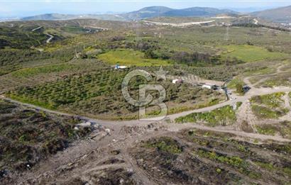 ALİAĞA BOZKÖY'DE SATILIK 4,397 M2 TARLA