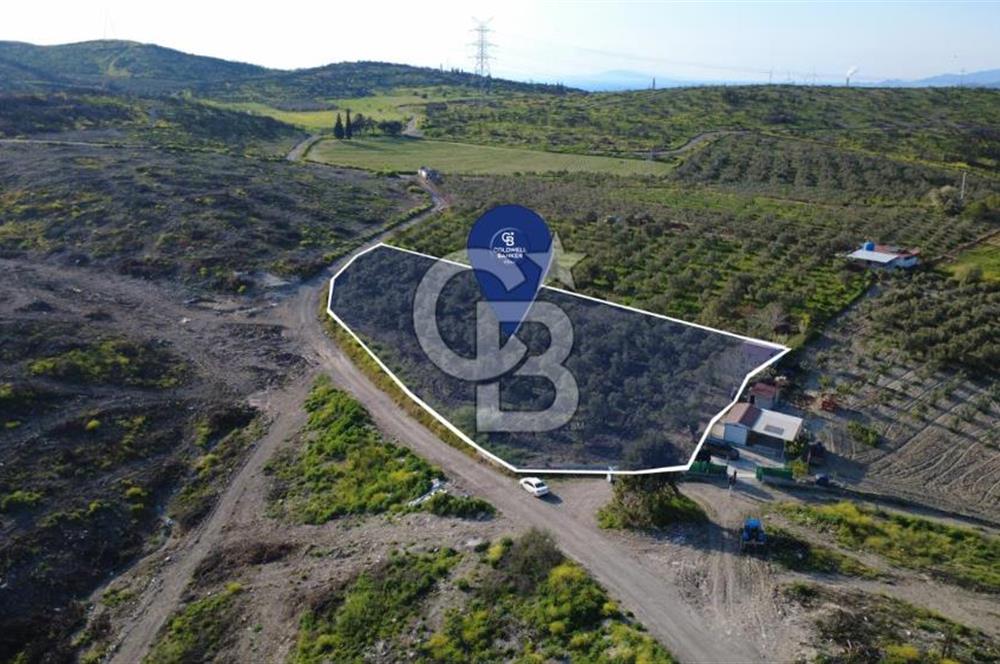 ALİAĞA BOZKÖY'DE SATILIK 4,397 M2 TARLA