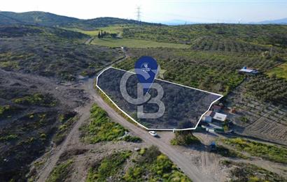 ALİAĞA BOZKÖY'DE SATILIK 4,397 M2 TARLA