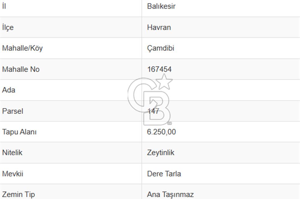 EMSALSİZ FİYAT! HAVRAN'DA KADASTRAL YOLLU, VERİMLİ ZEYTİNLİK
