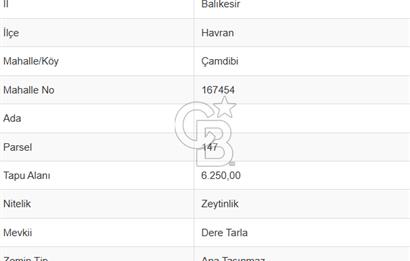 EMSALSİZ FİYAT! HAVRAN'DA KADASTRAL YOLLU, VERİMLİ ZEYTİNLİK