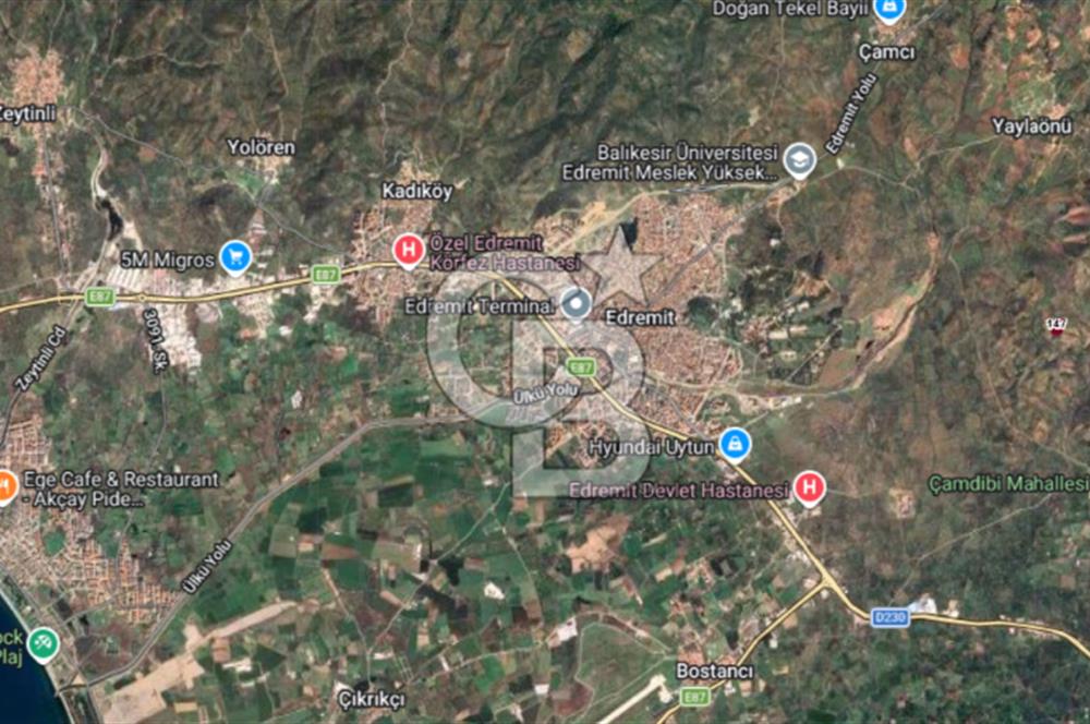 EMSALSİZ FİYAT! HAVRAN'DA KADASTRAL YOLLU, VERİMLİ ZEYTİNLİK