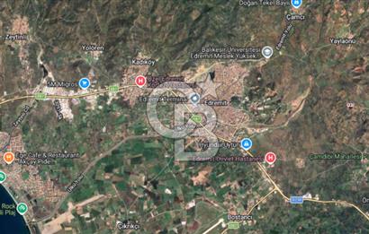 EMSALSİZ FİYAT! HAVRAN'DA KADASTRAL YOLLU, VERİMLİ ZEYTİNLİK