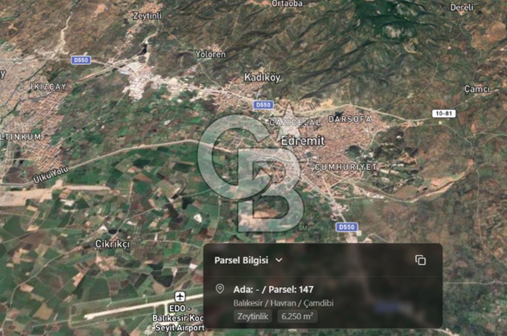 EMSALSİZ FİYAT! HAVRAN'DA KADASTRAL YOLLU, VERİMLİ ZEYTİNLİK