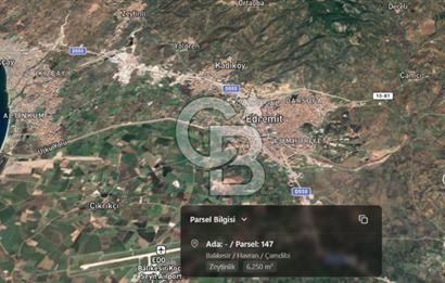 EMSALSİZ FİYAT! HAVRAN'DA KADASTRAL YOLLU, VERİMLİ ZEYTİNLİK