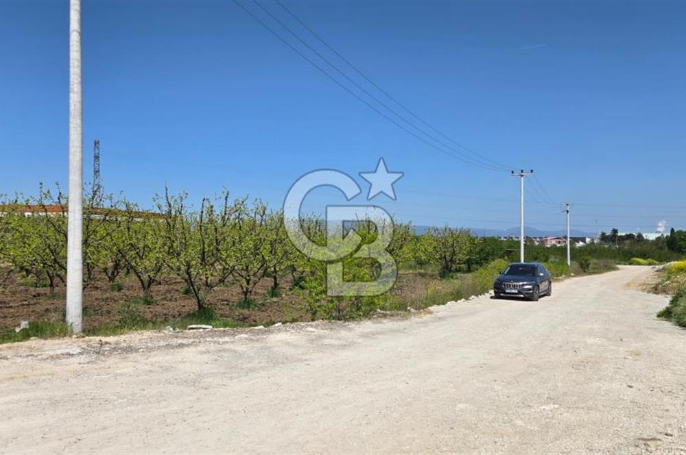 YALOVA ALTINOVA KAYTAZDERE SATILIK K.SANAYİ İMARLI ARSA! 4790M2