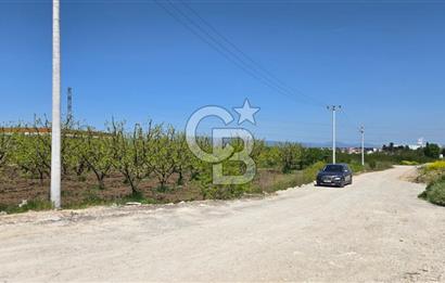 YALOVA ALTINOVA KAYTAZDERE SATILIK K.SANAYİ İMARLI ARSA! 4790M2