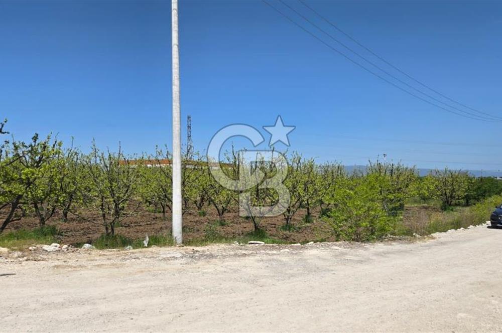 YALOVA ALTINOVA KAYTAZDERE SATILIK K.SANAYİ İMARLI ARSA! 4790M2