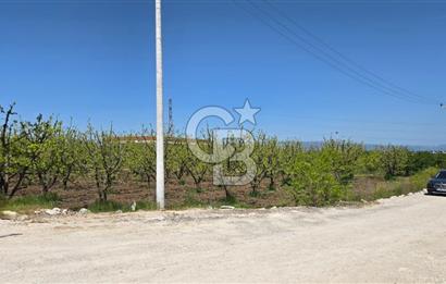 YALOVA ALTINOVA KAYTAZDERE SATILIK K.SANAYİ İMARLI ARSA! 4790M2