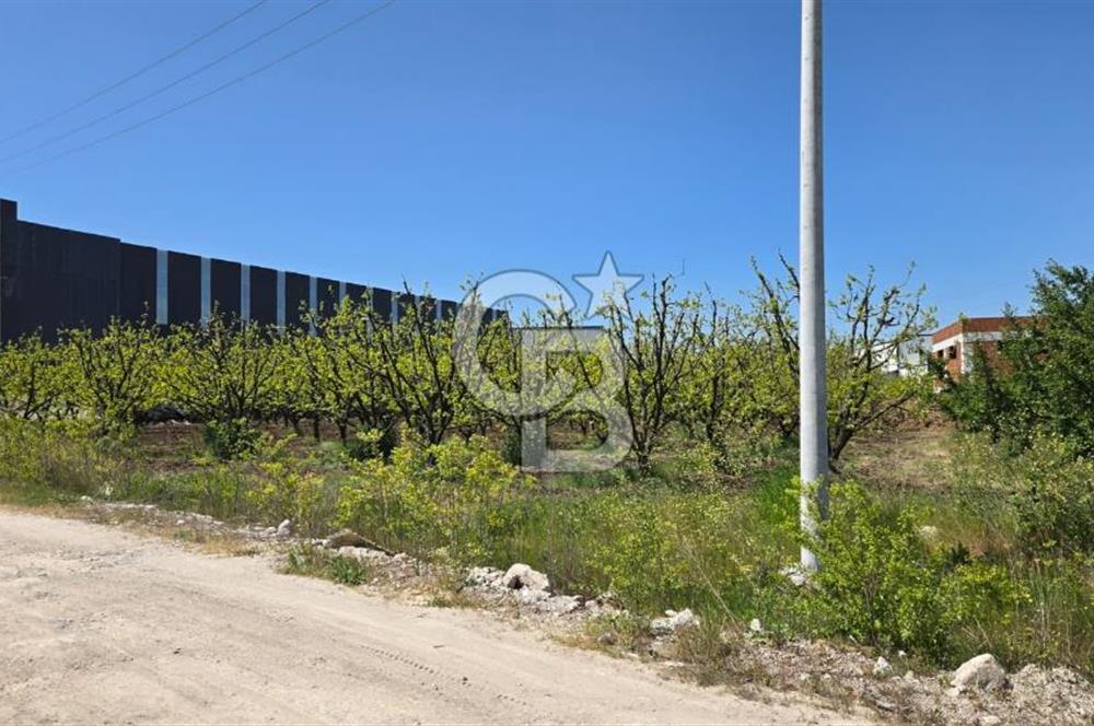 YALOVA ALTINOVA KAYTAZDERE SATILIK K.SANAYİ İMARLI ARSA! 4790M2