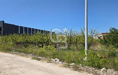 YALOVA ALTINOVA KAYTAZDERE SATILIK K.SANAYİ İMARLI ARSA! 4790M2