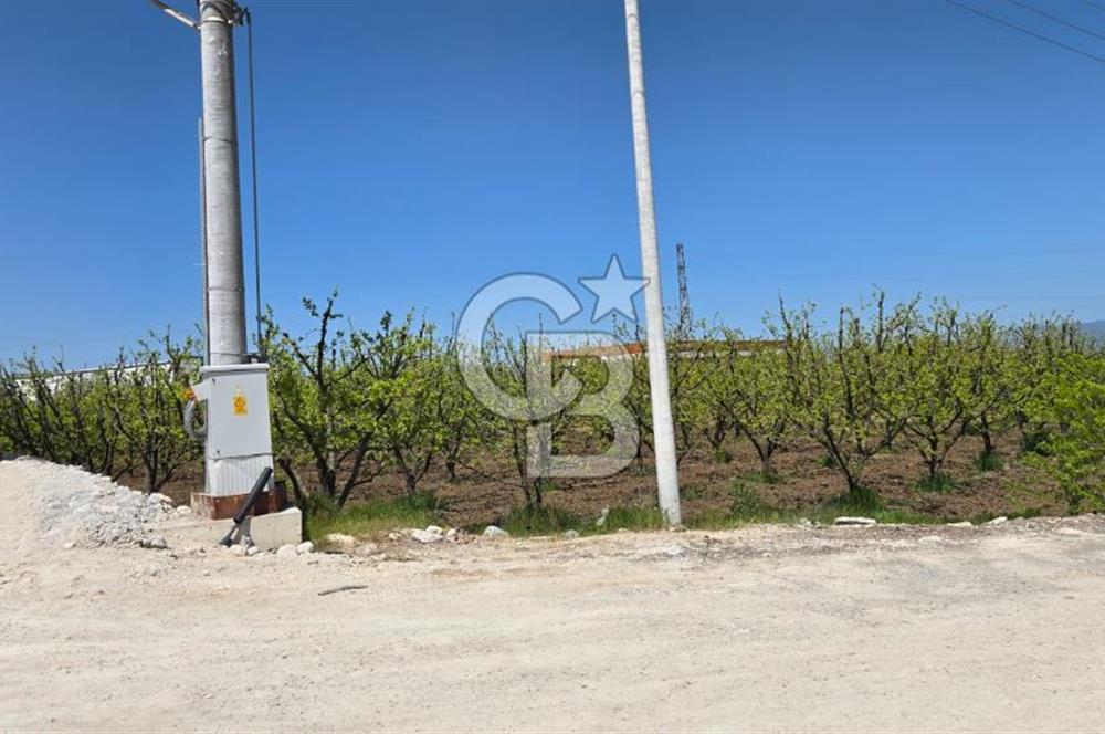 YALOVA ALTINOVA KAYTAZDERE SATILIK K.SANAYİ İMARLI ARSA! 4790M2