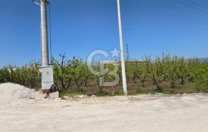 YALOVA ALTINOVA KAYTAZDERE SATILIK K.SANAYİ İMARLI ARSA! 4790M2
