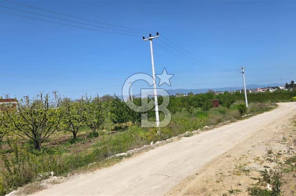 YALOVA ALTINOVA KAYTAZDERE SATILIK K.SANAYİ İMARLI ARSA! 4790M2