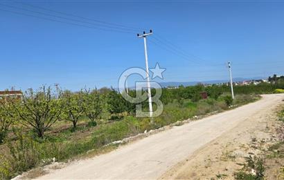 YALOVA ALTINOVA KAYTAZDERE SATILIK K.SANAYİ İMARLI ARSA! 4790M2