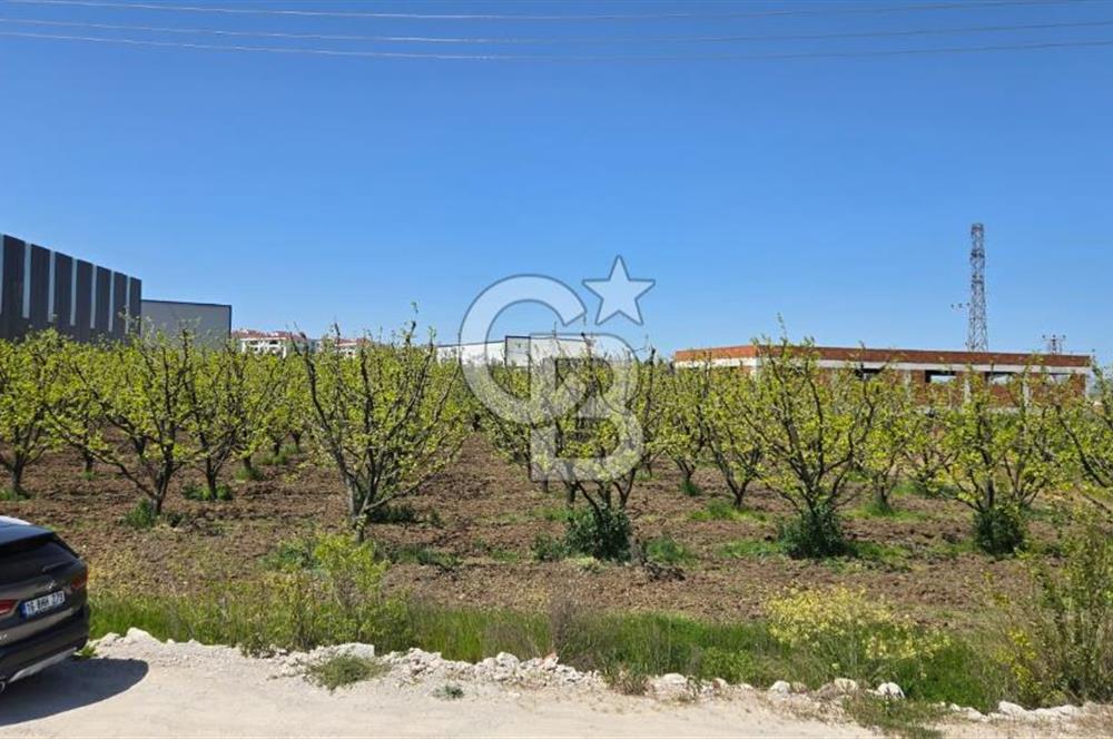 YALOVA ALTINOVA KAYTAZDERE SATILIK K.SANAYİ İMARLI ARSA! 4790M2