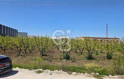 YALOVA ALTINOVA KAYTAZDERE SATILIK K.SANAYİ İMARLI ARSA! 4790M2