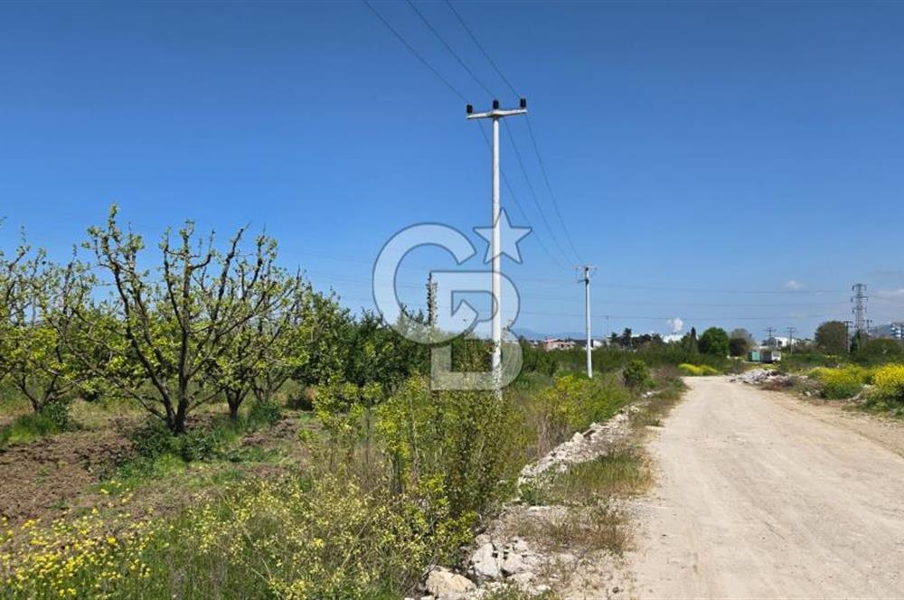 YALOVA ALTINOVA KAYTAZDERE SATILIK K.SANAYİ İMARLI ARSA! 4790M2