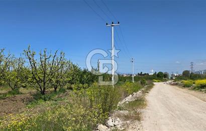 YALOVA ALTINOVA KAYTAZDERE SATILIK K.SANAYİ İMARLI ARSA! 4790M2