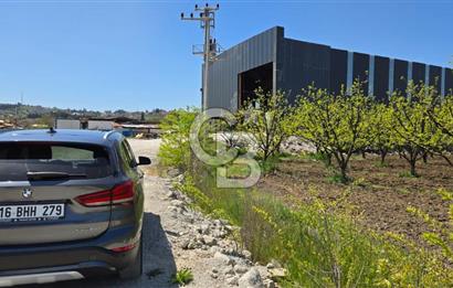 YALOVA ALTINOVA KAYTAZDERE SATILIK K.SANAYİ İMARLI ARSA! 4790M2