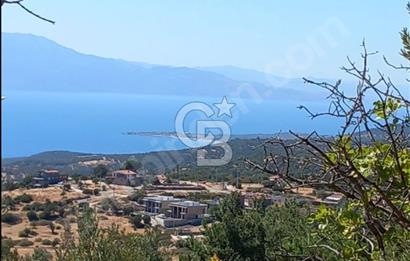ÇANAKKALE AYVACIK KOZLU'DA PANAROMİK DENİZ MANZARALI ZEYTİNLİK