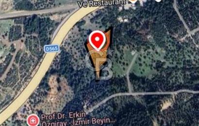 Bornova Erzene’de Merkeze Yakın, Konumu Mükemmel 8 Dönüm Satılık Zeytinlik 